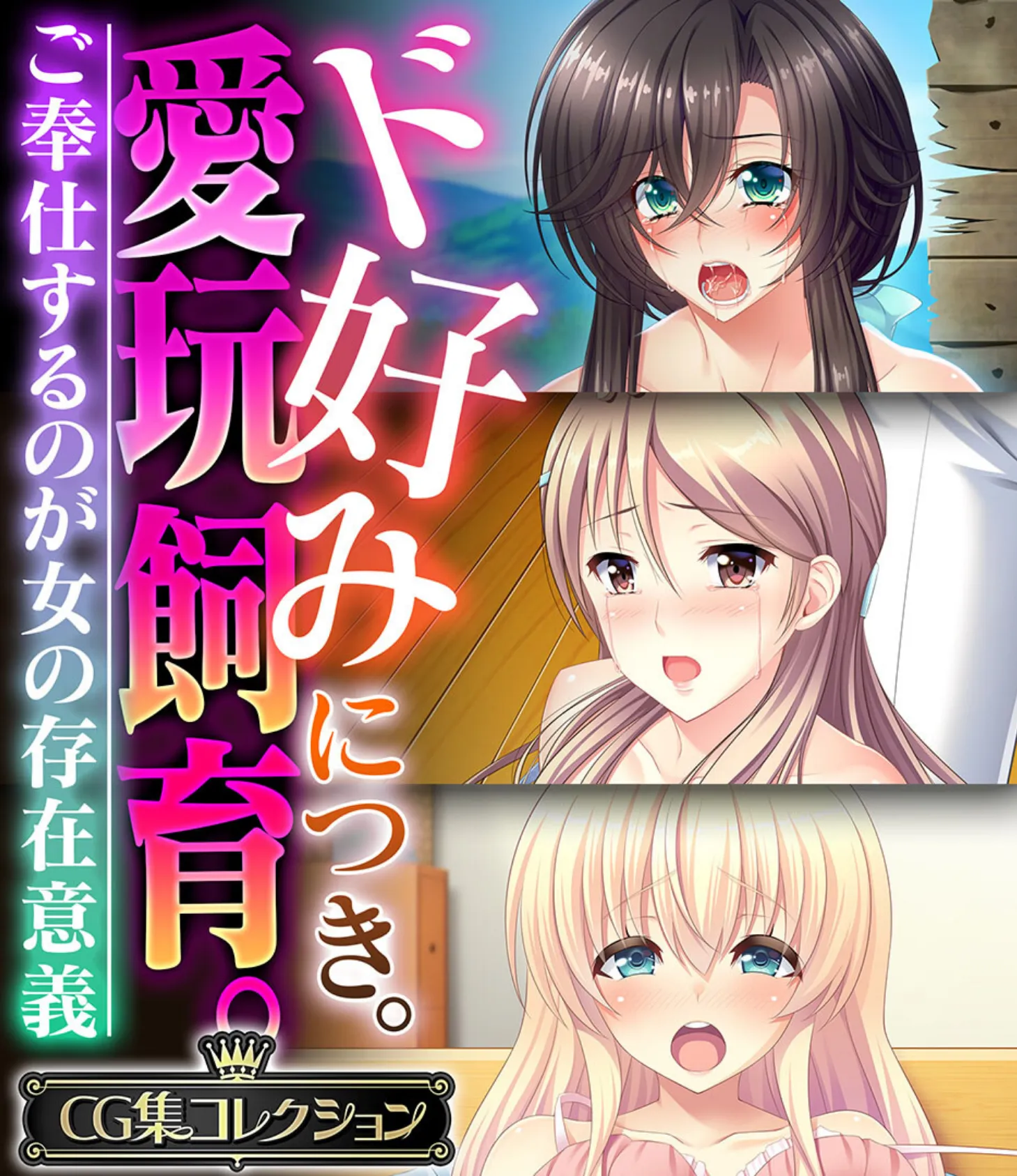 ド好みにつき。愛玩飼育 。 〜ご奉仕するのが女の存在意義〜【CG集コレクション】 1ページ