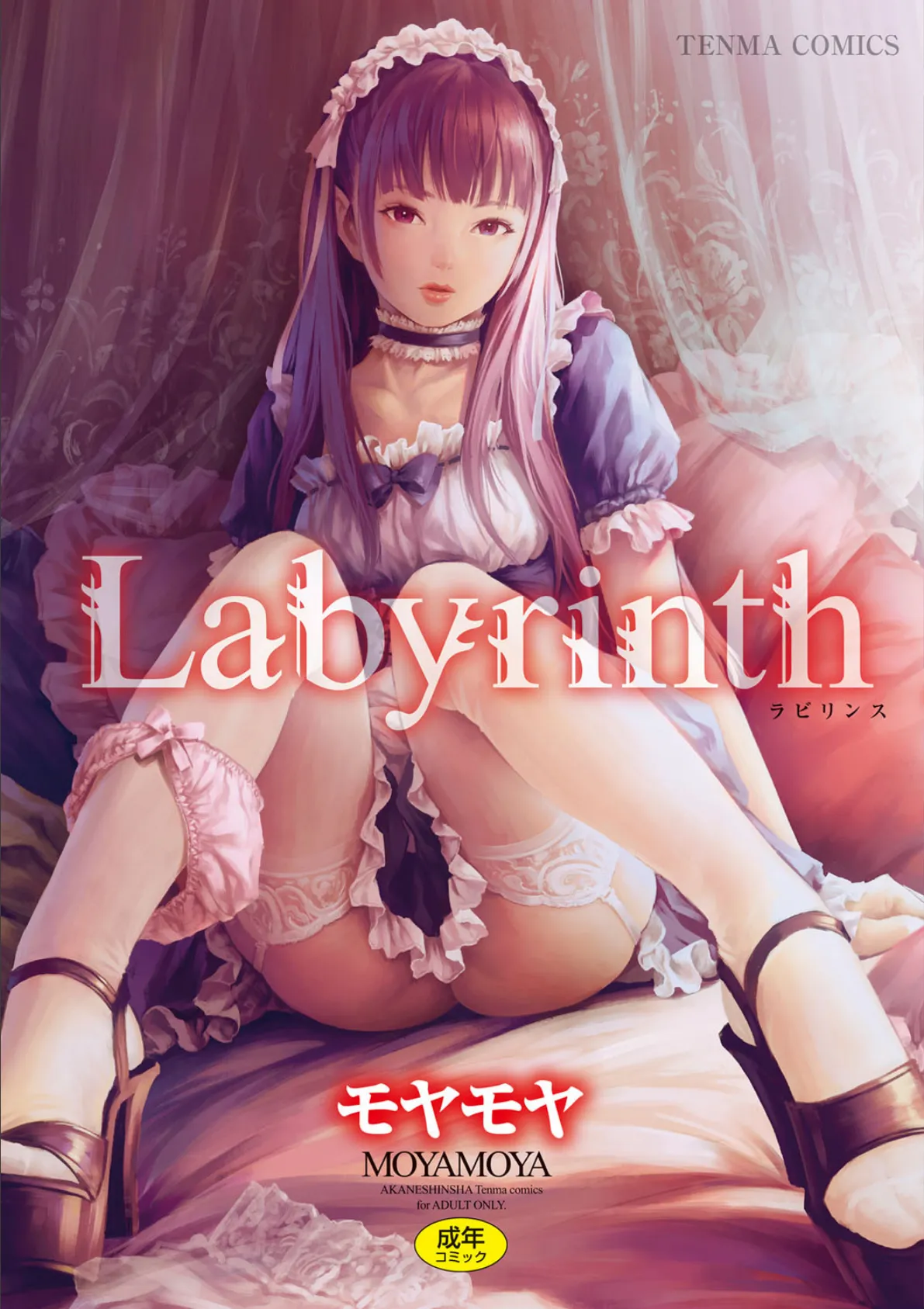 Labyrinth【FANZA限定特典付き】