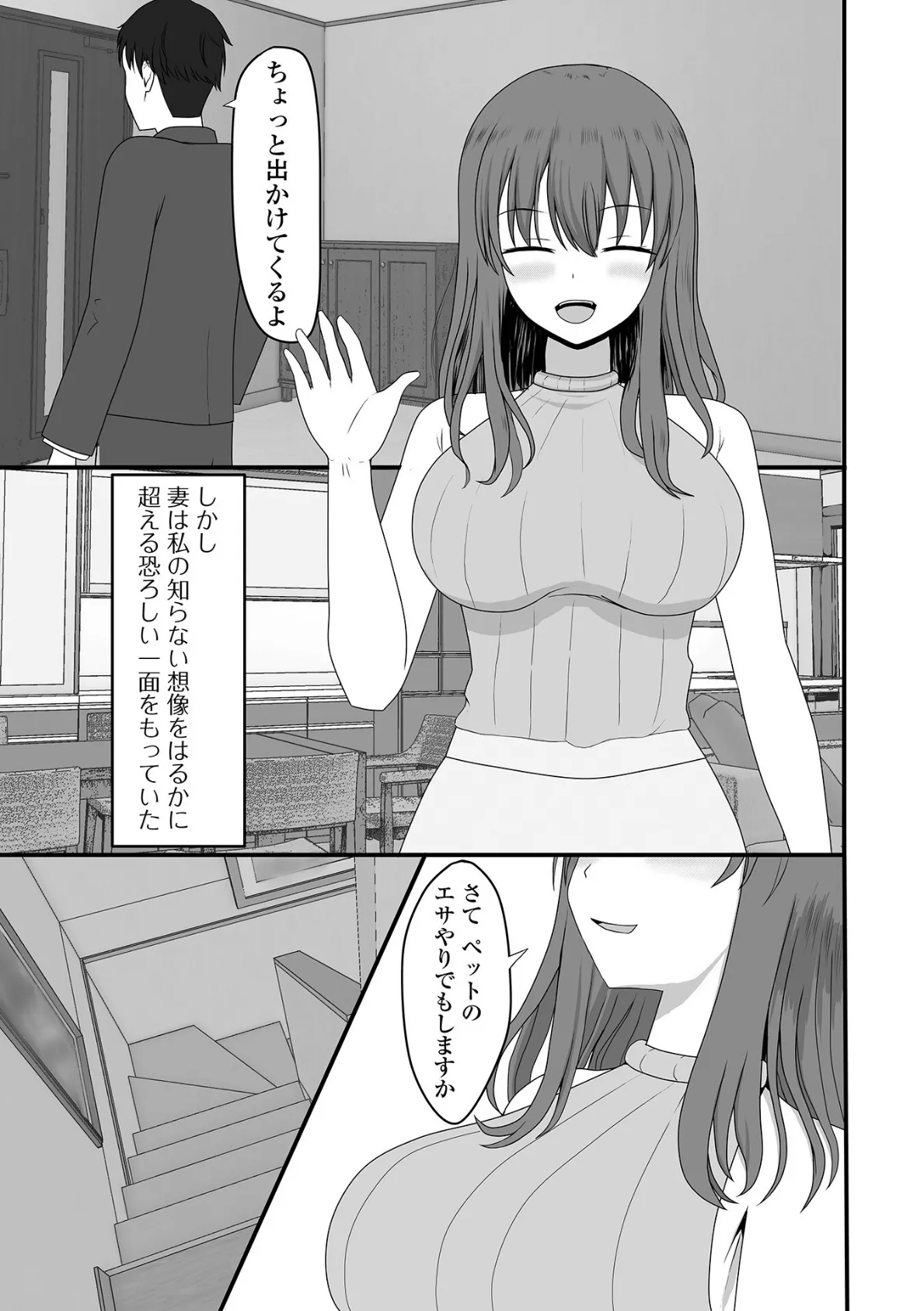 人妻淫行録 17ページ